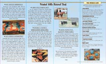 brochure samples and printed design examples four panel brochure